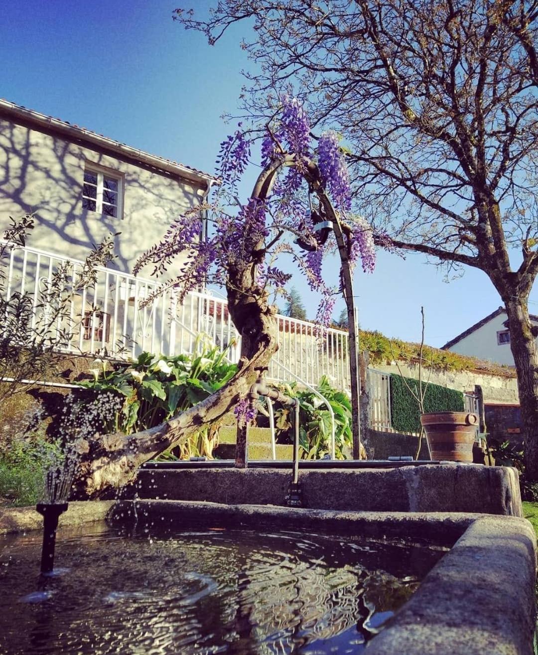 A Casa Da Parrula Lägenhet Santiago de Compostela Exteriör bild